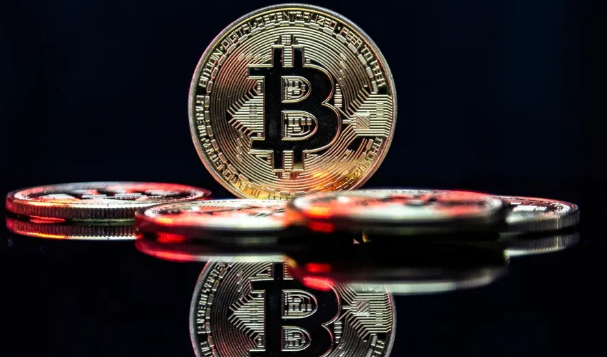 Bitcoin was cut in half in the past tell us about its future